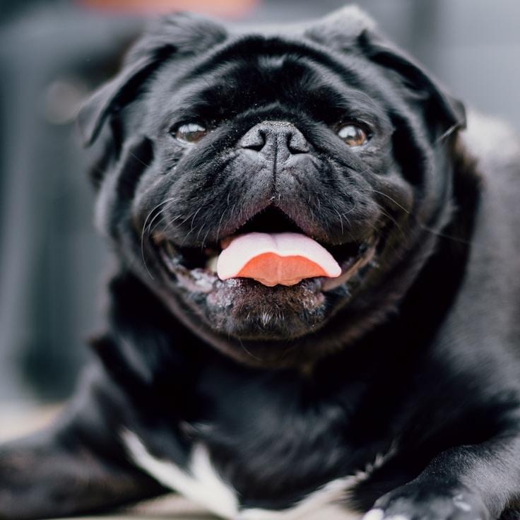 Portrait of Nova Reed, group coordinator and fusion cooking expert